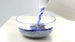 Đun sôi 500ml nước trong một nồi nhỏ rồi cho 5gr hoa đậu biếc khô vào nấu lửa vừa cho đến khi hoa nở bung, ra hết màu thì lọc bỏ xác, lấy nước, để nguội. 500gr gạo nếp rửa sạch nhẹ đến khi nước trong. Ngâm nếp vào nước hoa đậu biếc khoảng 3-4 tiếng. Vớt nếp ra, để ráo, trộn nếp 1 muỗng cà phê muối và 1 muỗng canh dầu ăn.