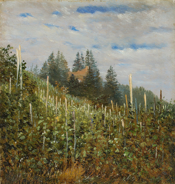 Frühsommerlicher Weinberg in Pillnitz between 1830 and 1840