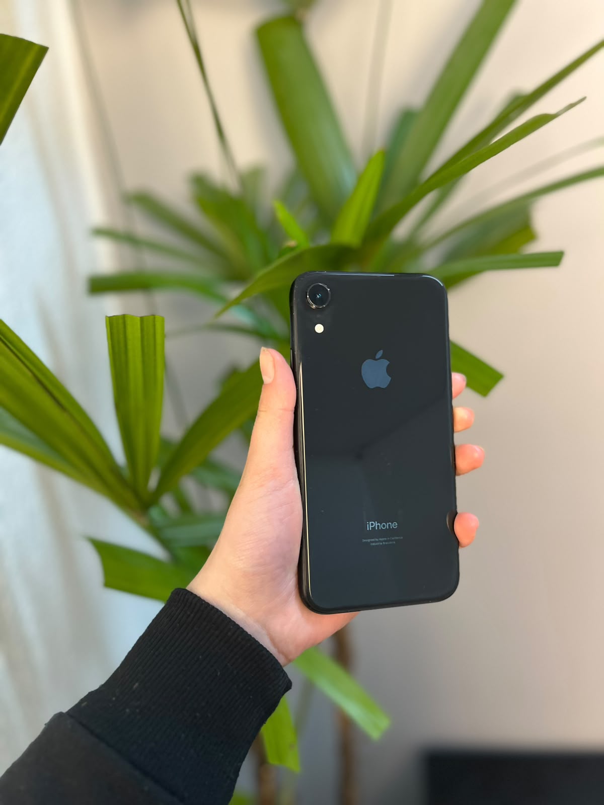 iPhone XR 64GB Preto