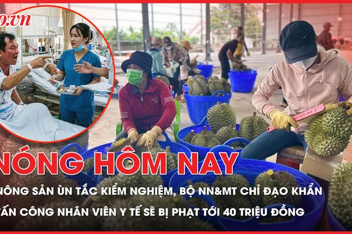 Nhiều nông sản ùn tắc kiểm nghiệm, Bộ NN&amp;MT chỉ đạo khẩn; Từ 15-5, tấn công nhân viên y tế bị phạt tới 40 triệu đồng - Báo Pháp Luật TP.HCM