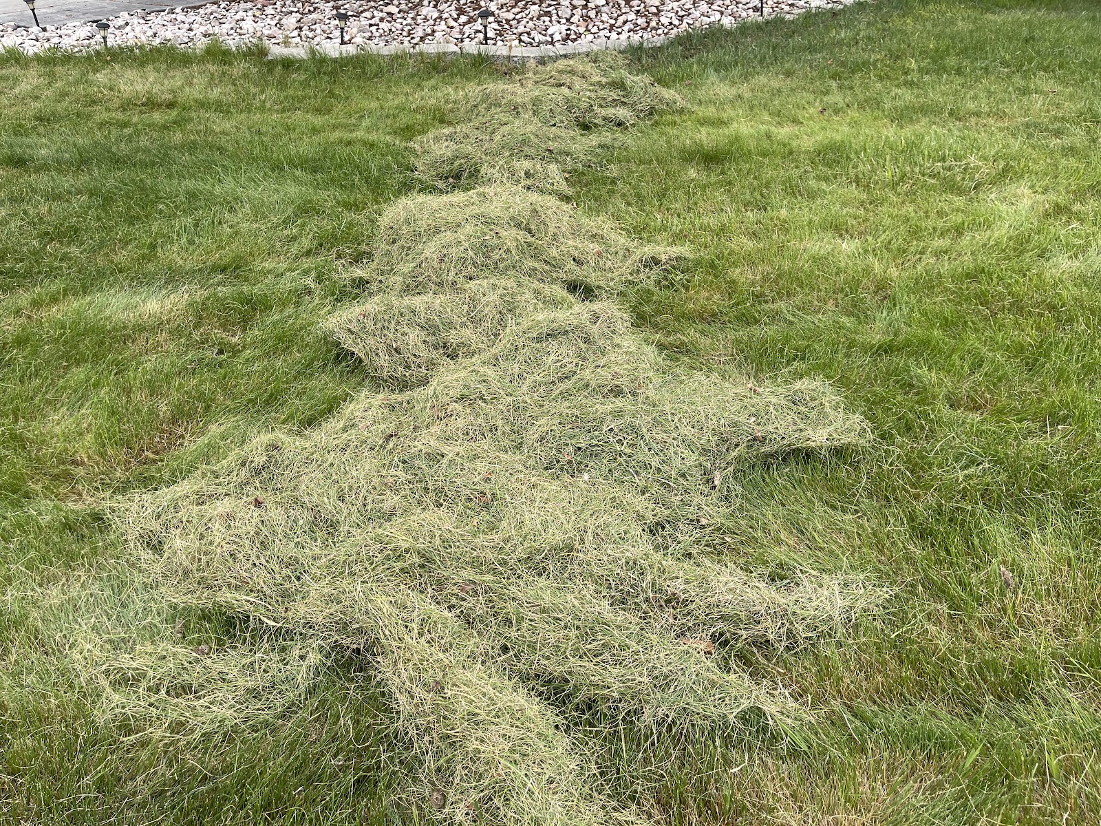 Ut lawn Care work portfolio 4
