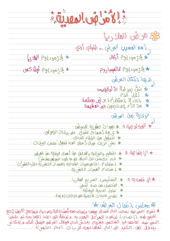 صورة الغلاف