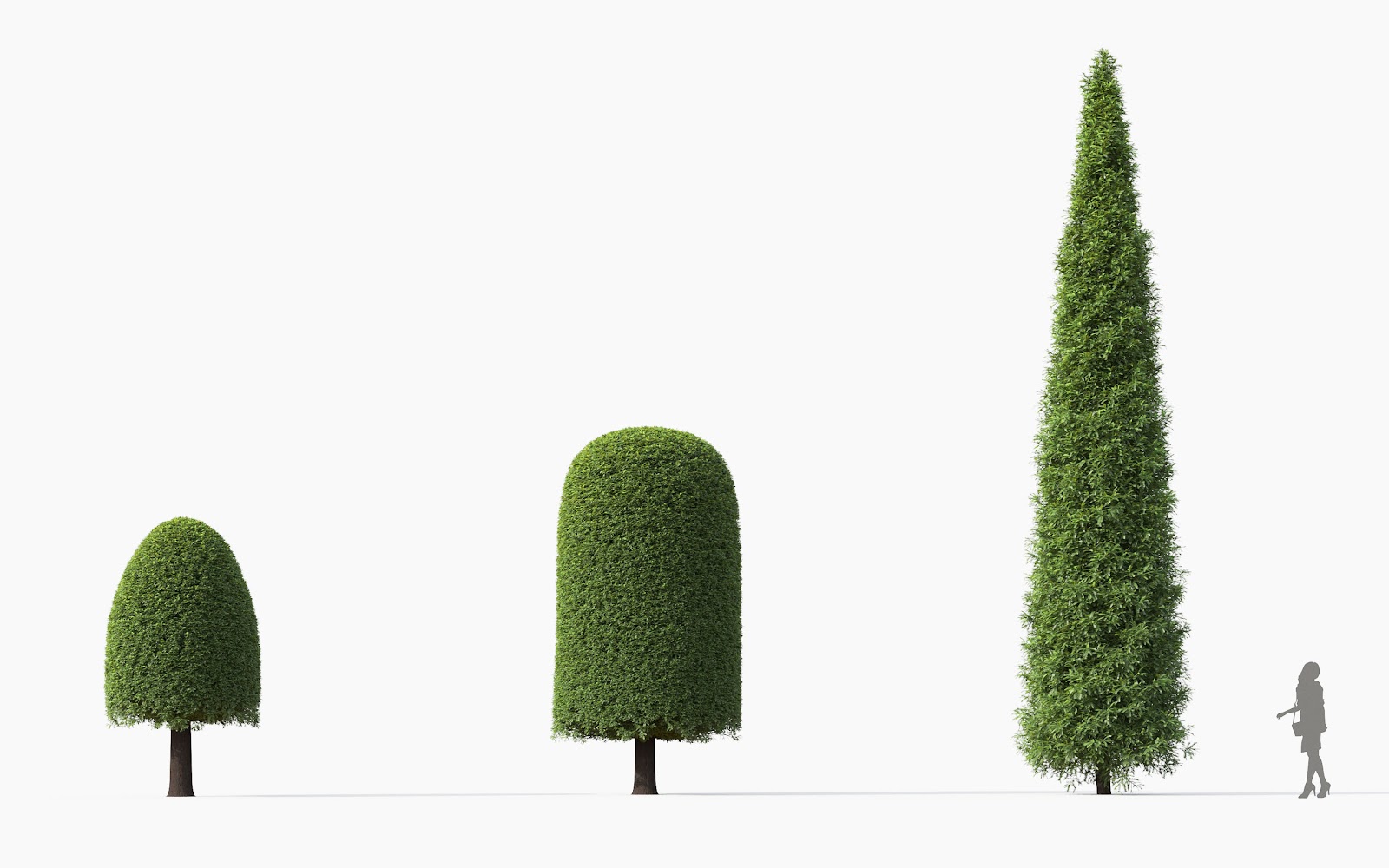 Maxtree - Plant Models Vol.28