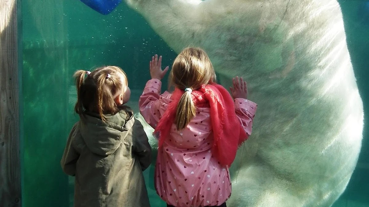 자동화 도구별 인증 방식 차이와 보안 설정 가이드