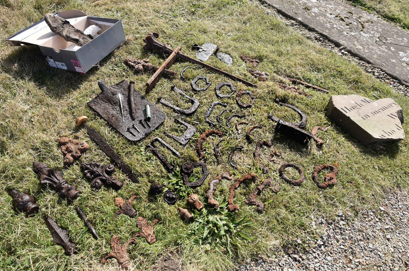 Guisachan_DOD_small_finds_on_grass_KMT0922_53.jpg