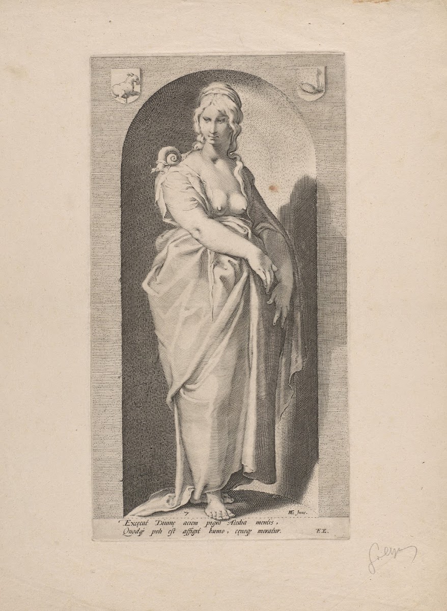 Sloth 1593