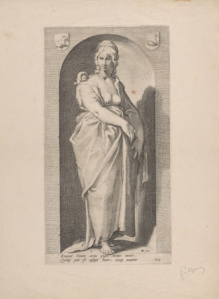 Sloth 1593