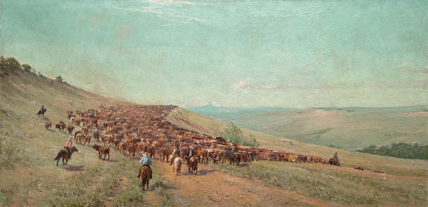 Driving the Herd 1904