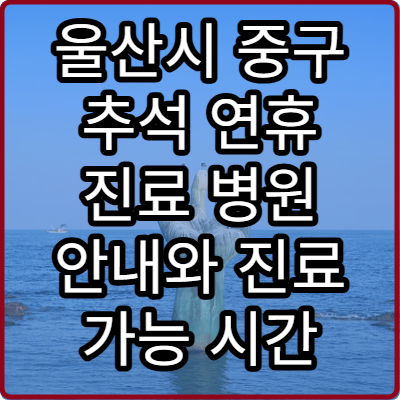 울산시 중구 추석 연휴 진료 병원 안내와 진료 가능 시간