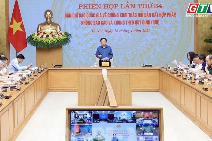 Toàn cảnh Gia Lai 24h: Quyết liệt gỡ 'thẻ vàng' IUU - Siết quản lý, nâng trách nhiệm địa phương - Báo Gia Lai