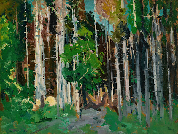 Through the Trees Monhegan Island Maine 1913