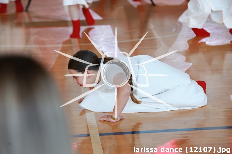 larissa dance (12107).jpg