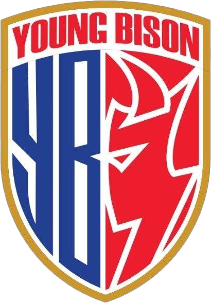 Young Bison logo