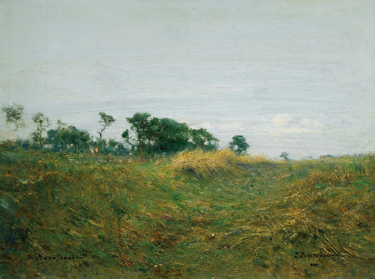 Path Through The Grass 1896