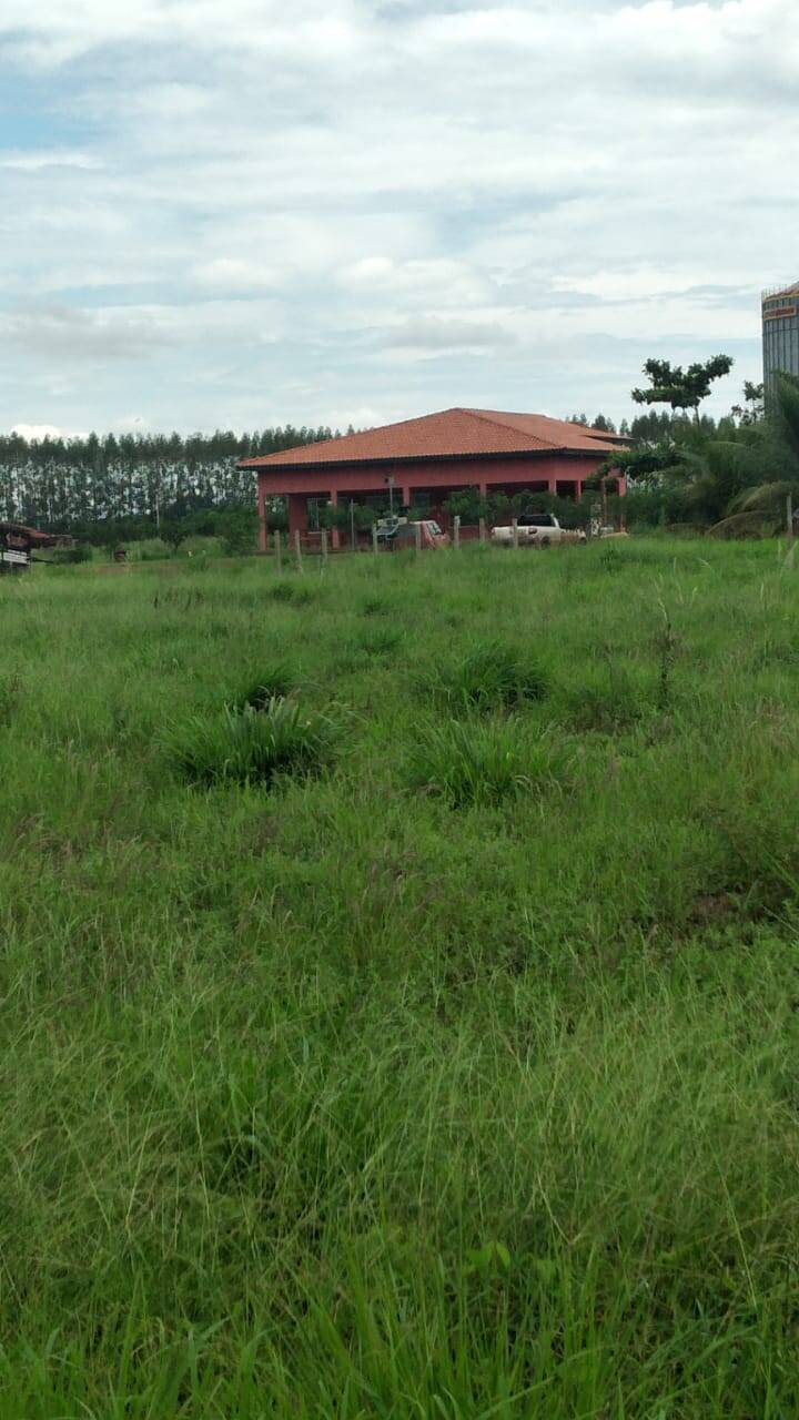 Fazenda em Barra do Ouro-TO 7