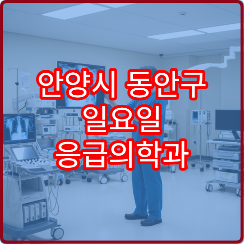안양시 동안구 일요일 응급의학과 진료 병원 급성통증·외상 상담 가능