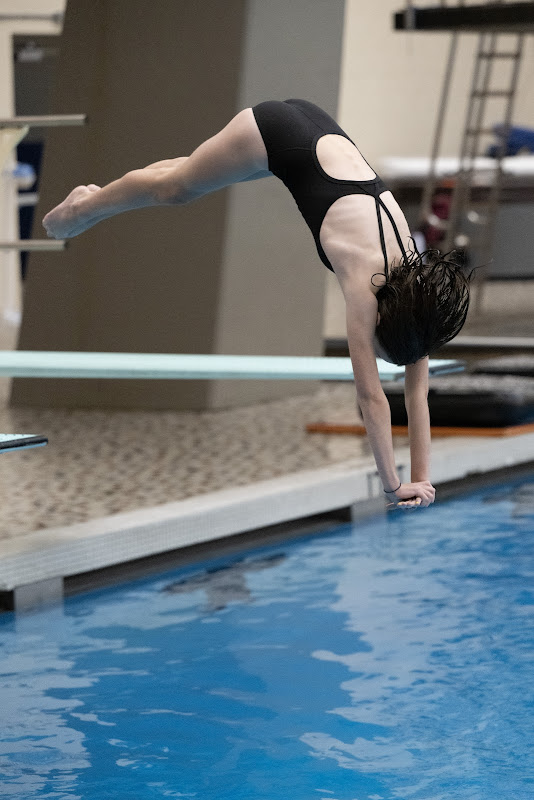 Photo from MS: Swim & Dive of Caroline Purcell