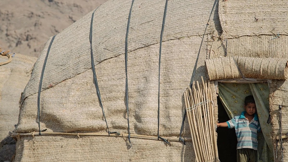 부족사회에서 권력 구조가 형성되는 인류학적 원리