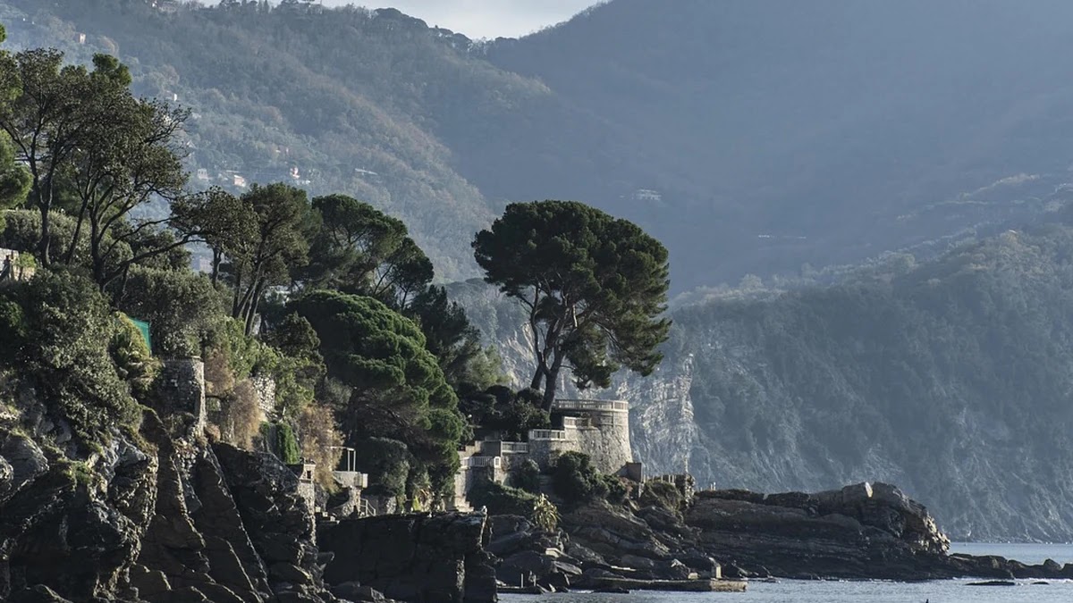 코딩테스트 언어 선택 기준과 취업 시장 반영 전략