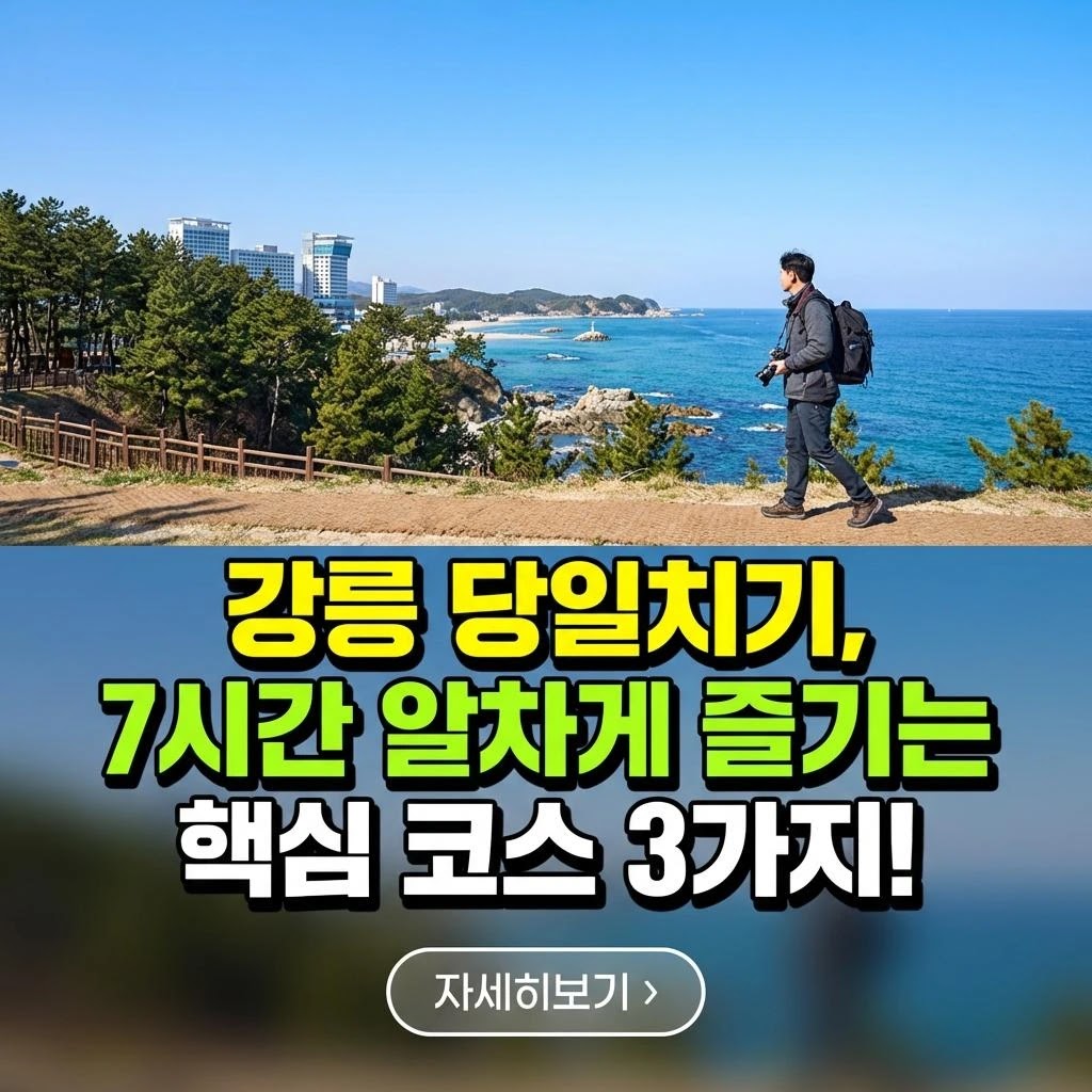 강릉 럭셔리 당일치기, 7시간 핵심 코스 가이드