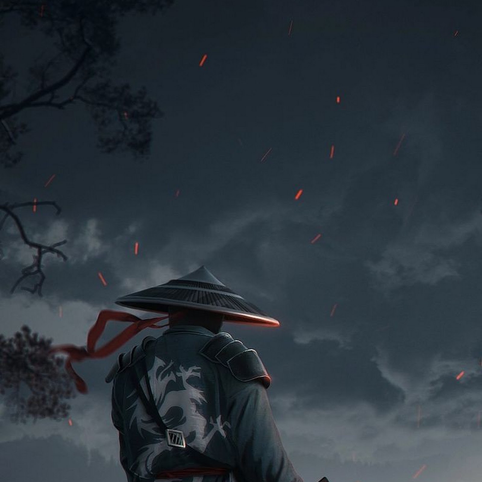 Download Samurai Warrior On Rocky Cliff iPhone