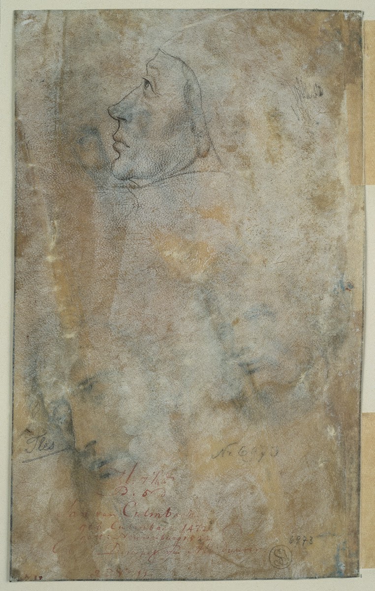Head in profile