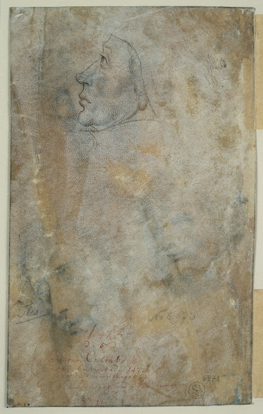 Head in profile
