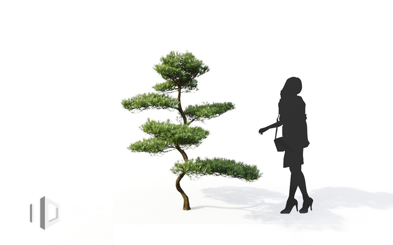 Maxtree - Plant Models Vol.9