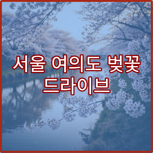 서울 여의도 벚꽃 드라이브 코스와 주변 카페 추천