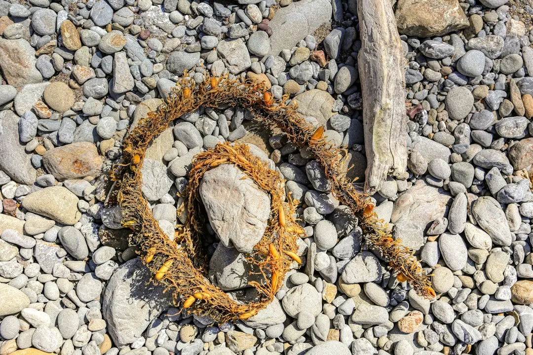 Why Did Bragg's Liquid Aminos Contain 3-MCPD and Is It Safe?