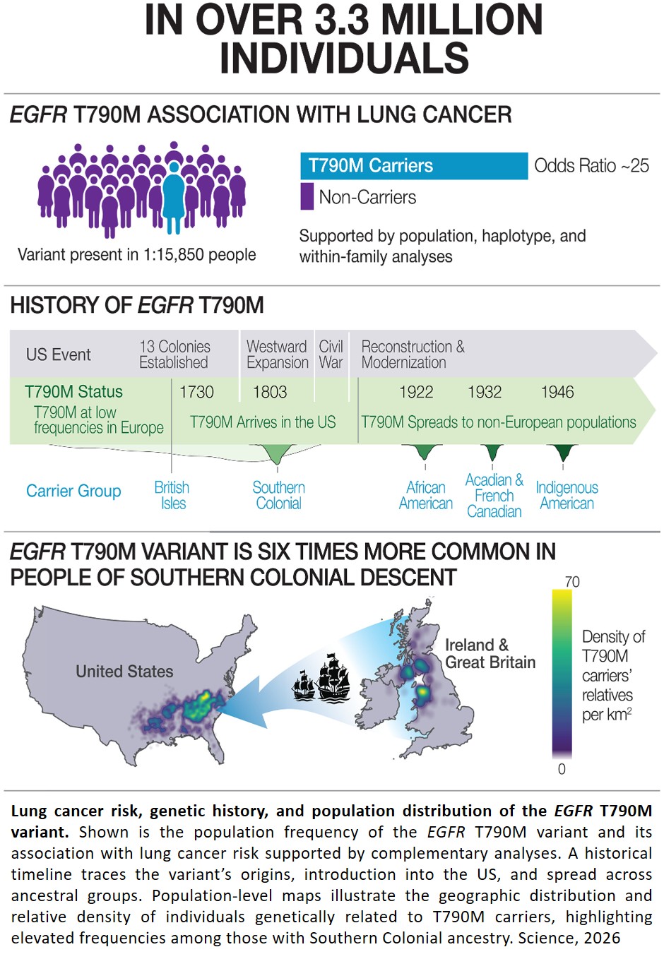 Rare inherited EGFR mutation linked to increased lung cancer risk