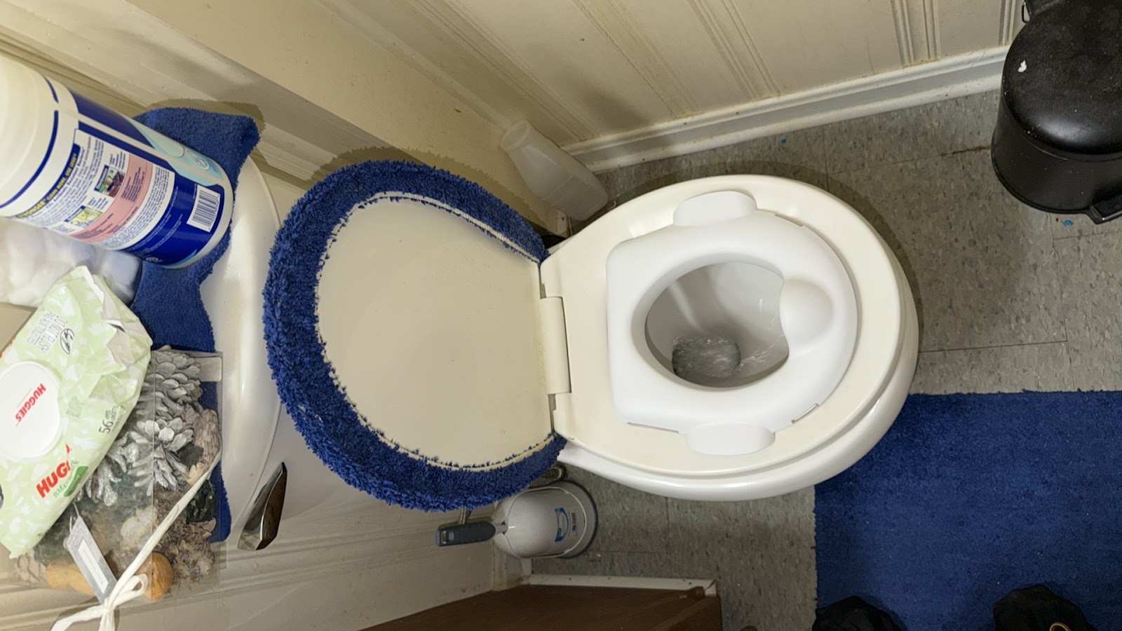 Copy of IMG_2026-03-13_14-21-46_732.jpg