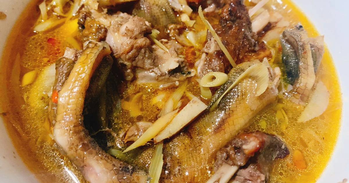 Ngan giả cầy