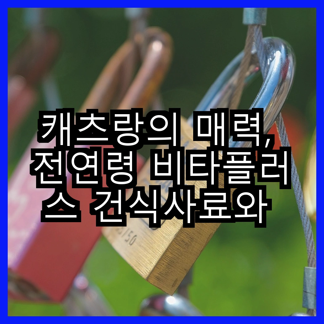 캐츠랑의 매력, 전연령 비타플러스 건식사료와 NEW 건식사료는 어떻게 다를까? 썸네일
