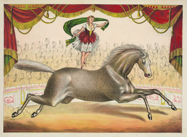 The scarf act 1874