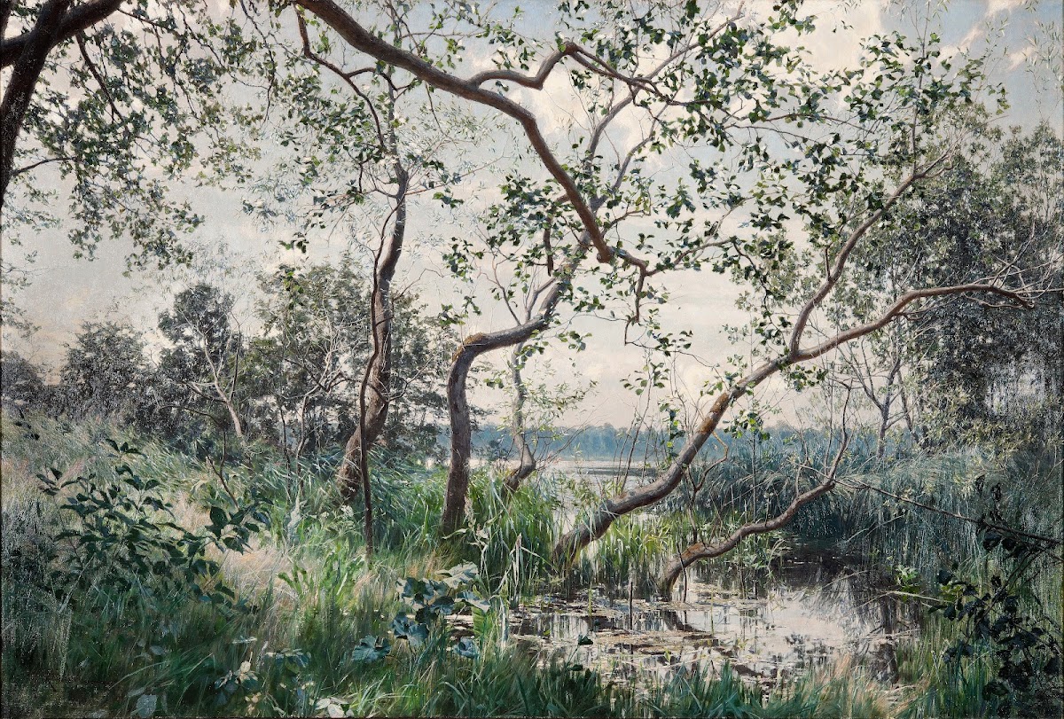 Water Vegetation Motif from Östergötland 1885