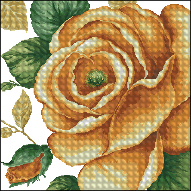 DOME41103 Rose Yellow
