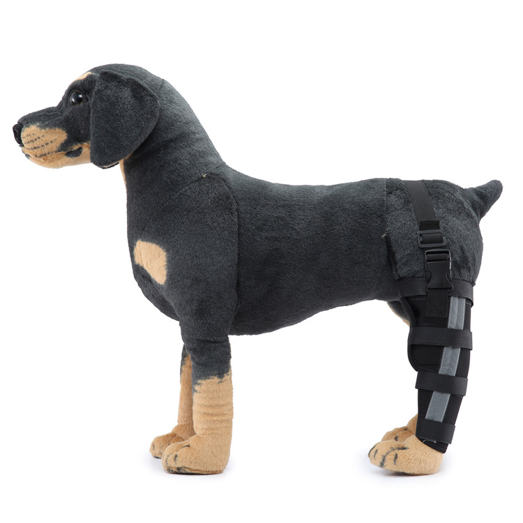 Hinterbein-Stützmanschette für Hunde, ganzjährig