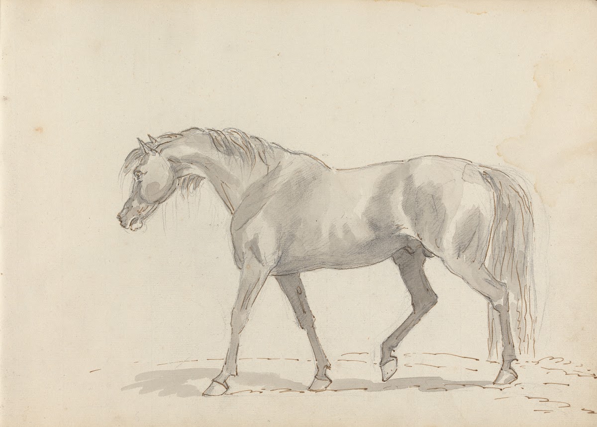 Fourty three Studies of Horses and Riders Pl10 1787