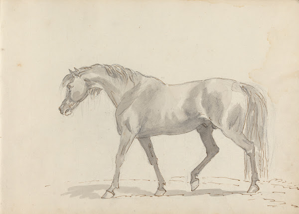 Fourty three Studies of Horses and Riders Pl10 1787