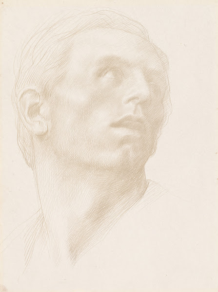 Head of a Man Looking Up to the Right 1890s
