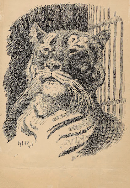 The captivating wilderness 1925