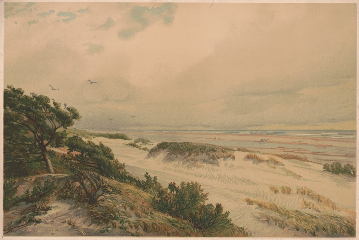 Sand hills of New Jersey 1887