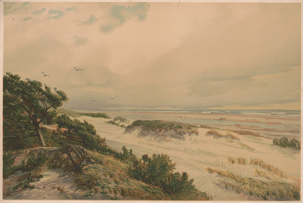 Sand hills of New Jersey 1887