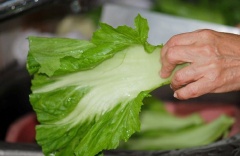 Cải bẹ chọn loại thật tươi ngon, rửa sạch, cắt bỏ phần gốc. Cắt cải bẹ thành những miếng nhỏ dài khoảng 5 cm.