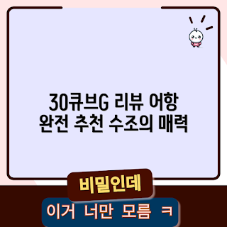 30큐브어항, 어항 추천, 2023 어항 트렌드, 수조 관리, 미니 수조