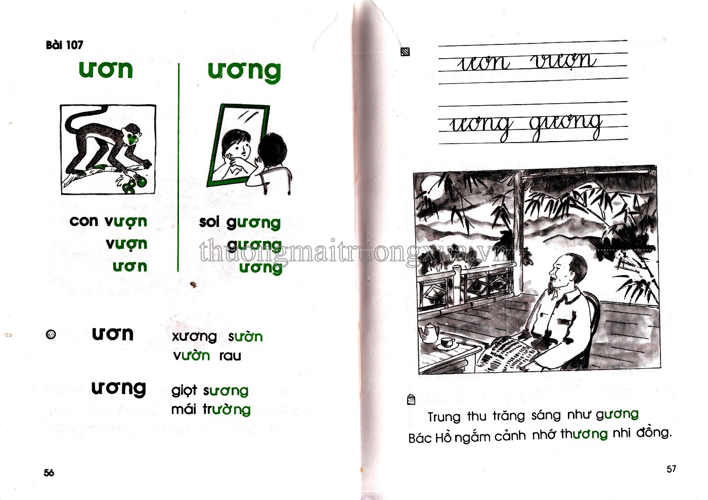 Tiếng Việt 1 (tập 2 1996) - Trang 29