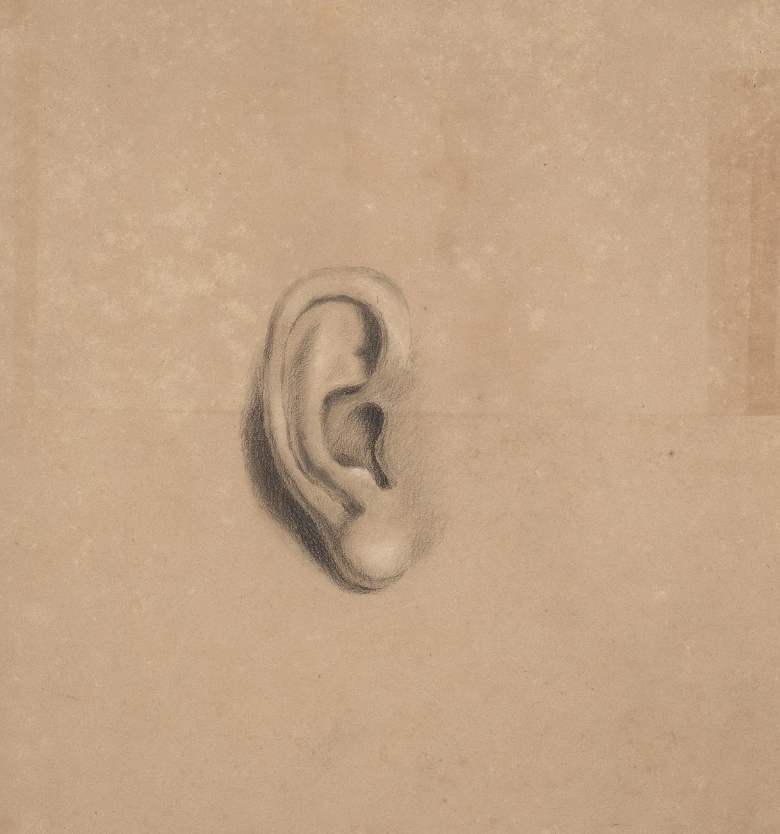 Ear study 1840