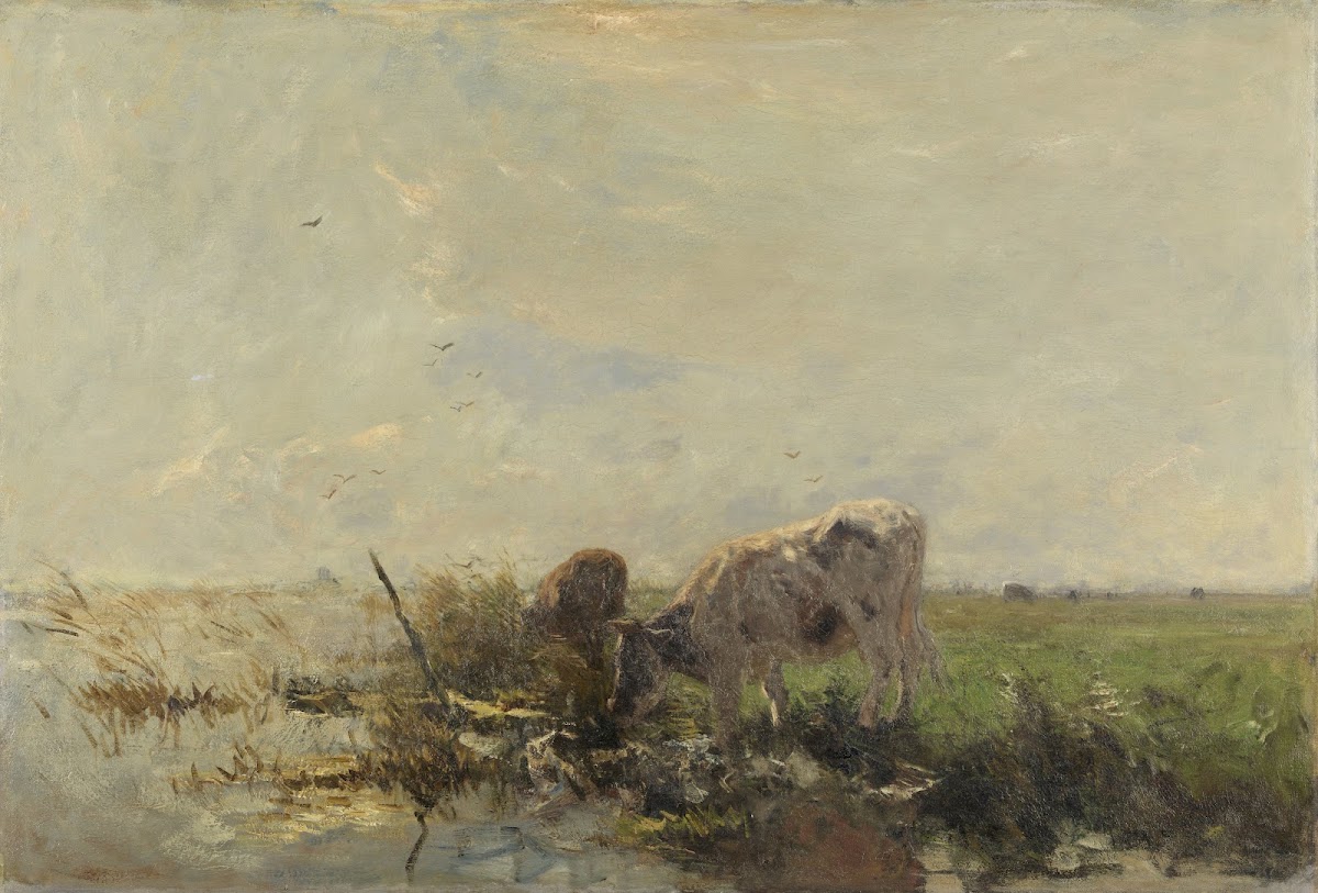 Koeien aan een plas 1880   1910