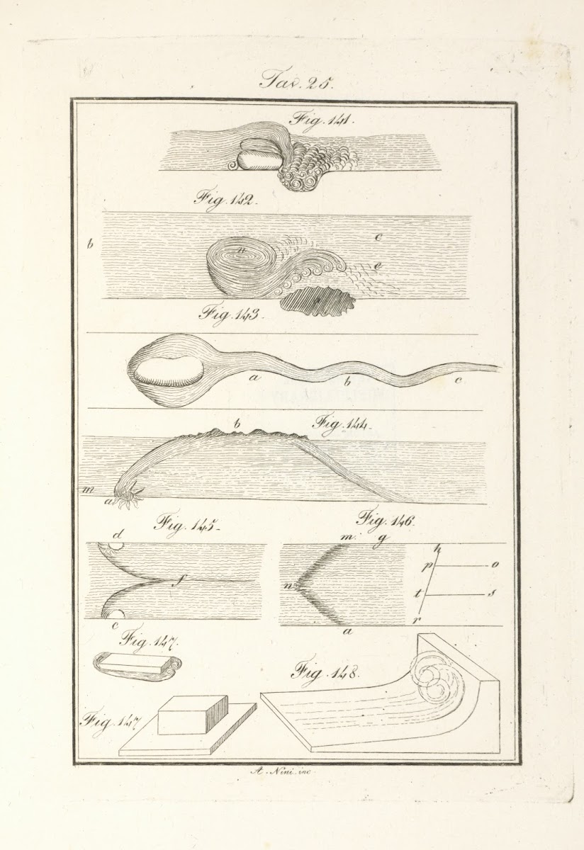 Tavola 25 1828